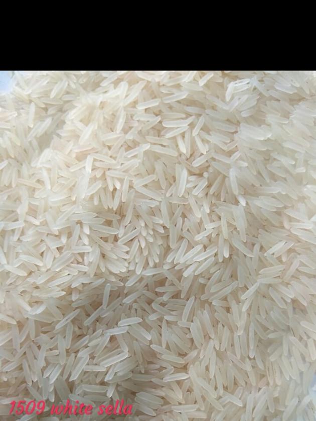 Basmati Rice