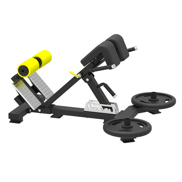 Adjustable Gym Equipment Roman Chair Hyper Extension Lower Back Exercise Bench
