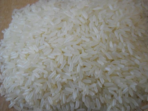 Rice
