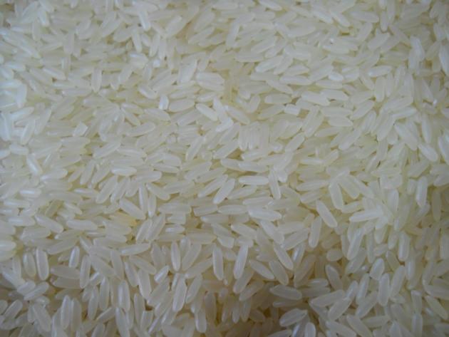 Rice