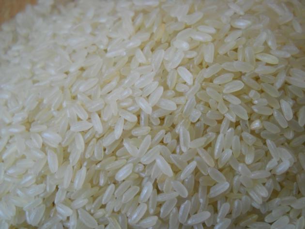 Rice