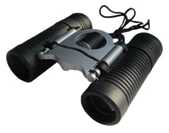 SR94D 8x21