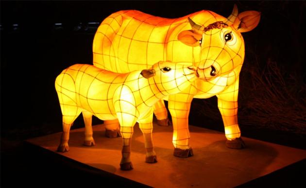 Other Animal Themed Lantern