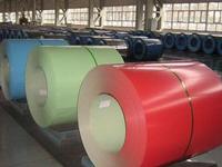 color-coated coil
