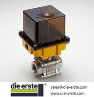 electric valve