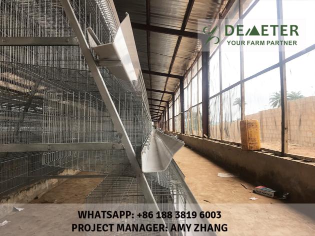 Automated Chicken Cage And Equipment Abuja