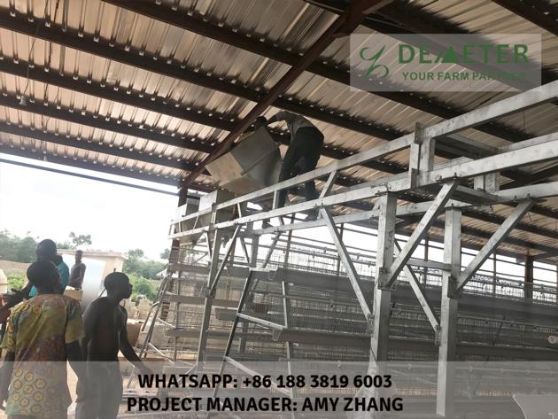 Automated Chicken Cage And Equipment Abuja