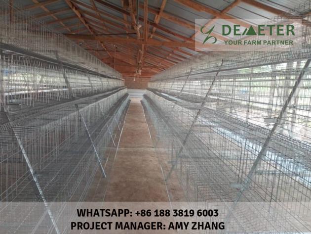 Automated Chicken Cage And Equipment Abuja