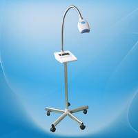 DuaL-Purpose Dental Teeth Whitening LED Lamp 