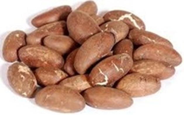 Bitter Kola