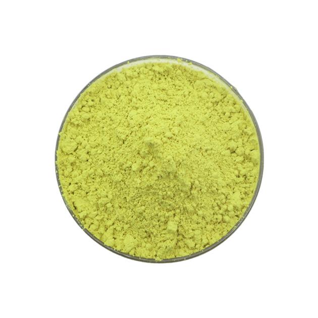 Sophora Japonica Extract Quercetin Rutin Powder 95% 