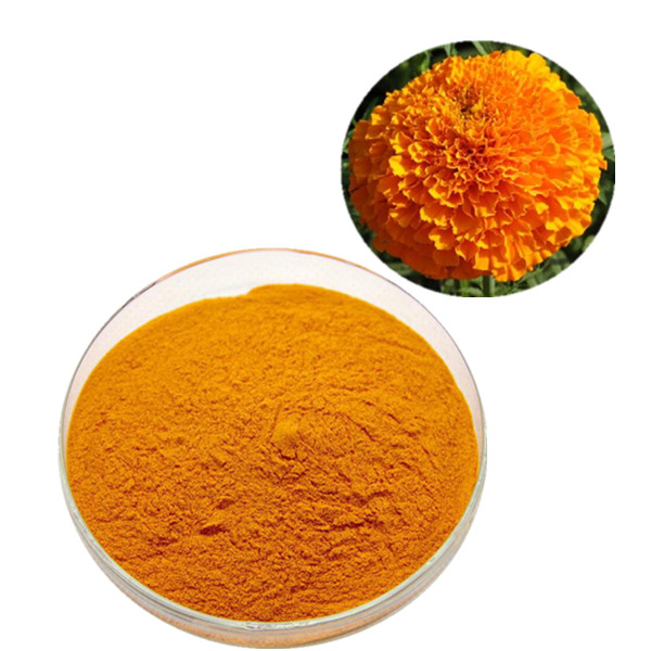 Marigold Extract Lutein 10% 20% 40%