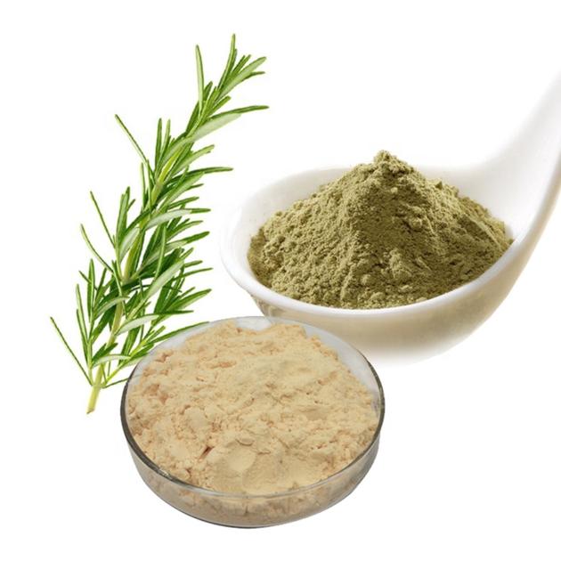  Rosemary Extract Carnosic Acid