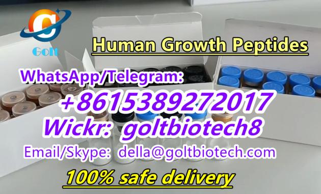 Human Growth Peptides Cas 12629-01-5 10iu supplier 100% safe delivery 