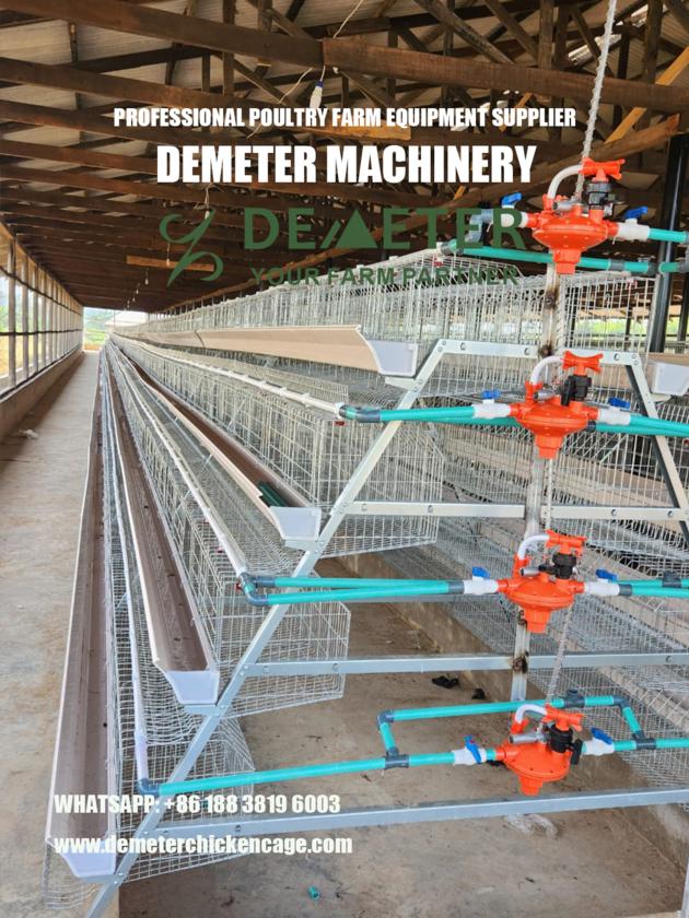 Layer Chicken Cage Battery Cage System