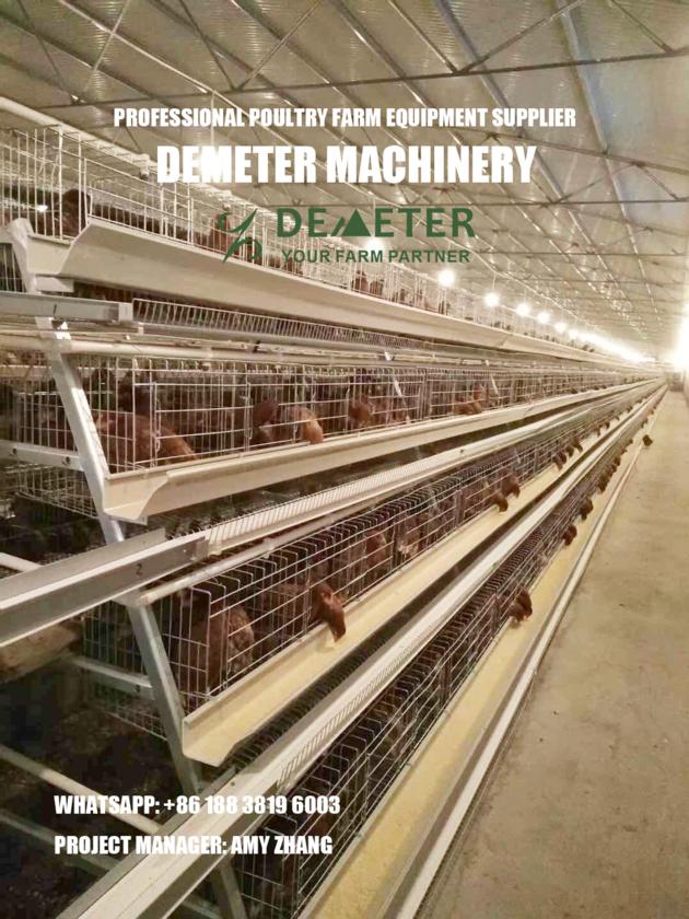 Layer Chicken Cage Battery Cage System Poultry Farming Equipment