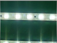 Rigid Piranha LED Strip