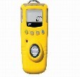 Waterproof Portable Ozone Monitor