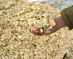 Woodchips