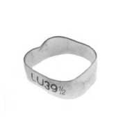 orthodontic band