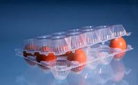 plastic 15 holes eggs tray