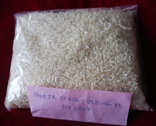 Vietnam Long Grain white rice 5 - 25% broken