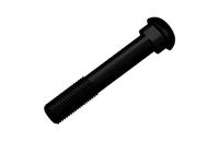 fish bolt, track bolt