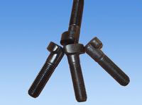 Half-head bolt