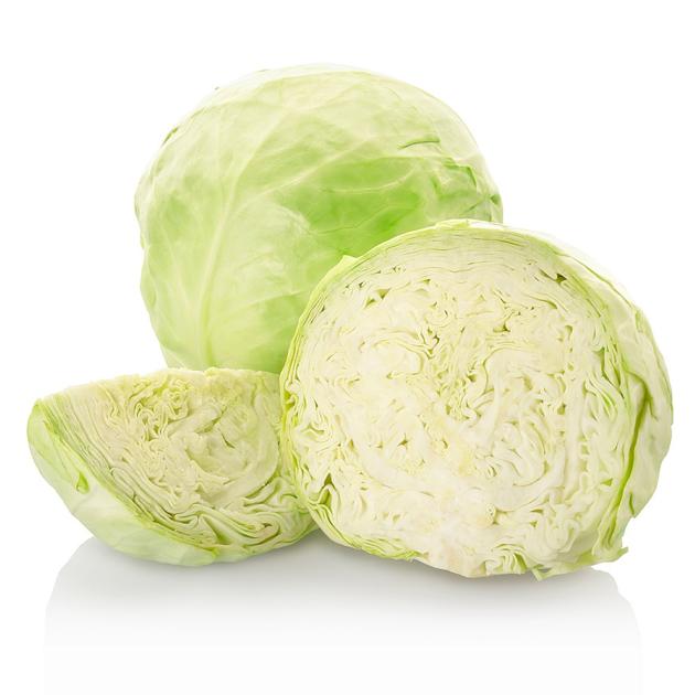 Fresh Cabbage