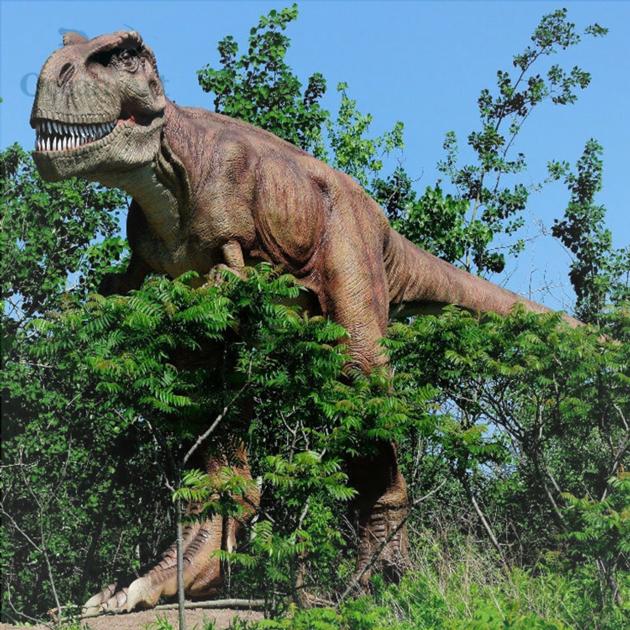 Man Made Artificial Animatronic Dinosaur Costume