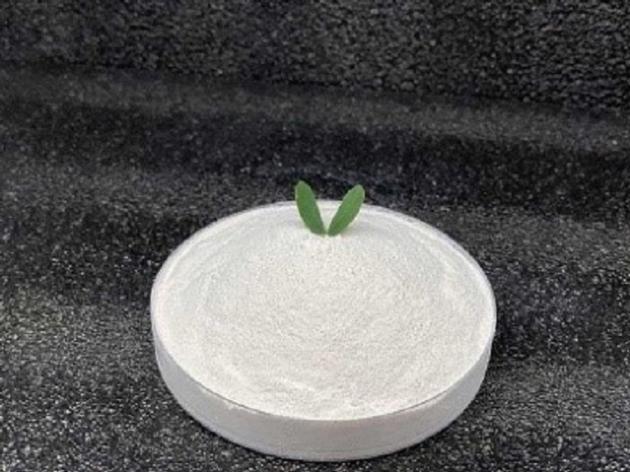 Precipitated Calcium Carbonate - Paint Filler
