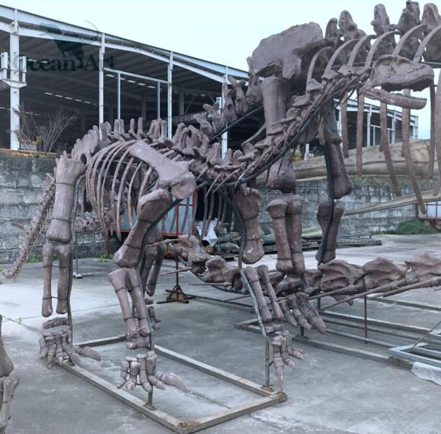 Man-made dinosaur fossil skeleton model