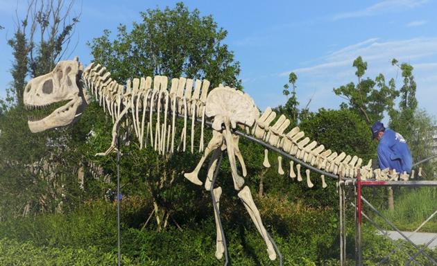 Man Made Dinosaur Fossil Skeleton Model