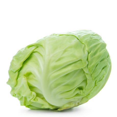 Fresh Cabbage