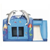 Gaint inflatable Castles