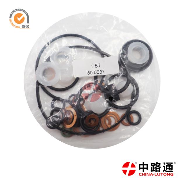 Fuel Injection Pump Repair Kit 800647