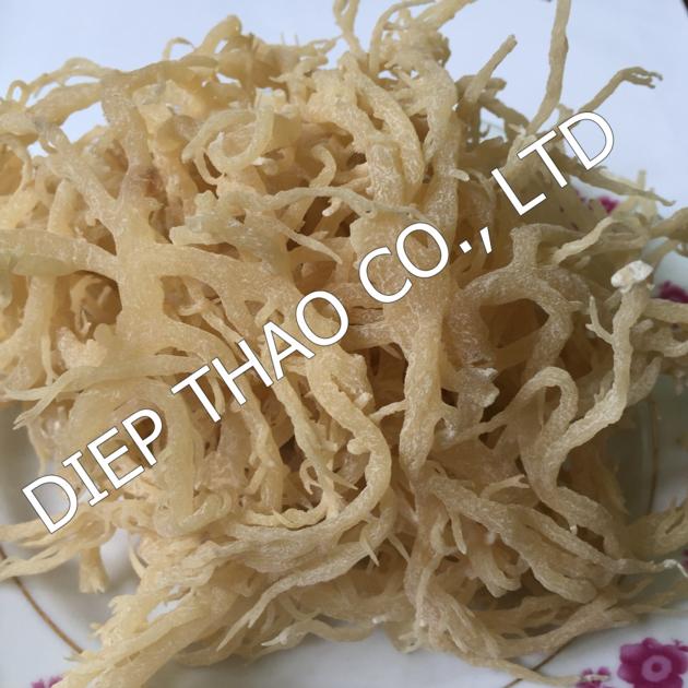 DRIED COTTONII SEAWEED