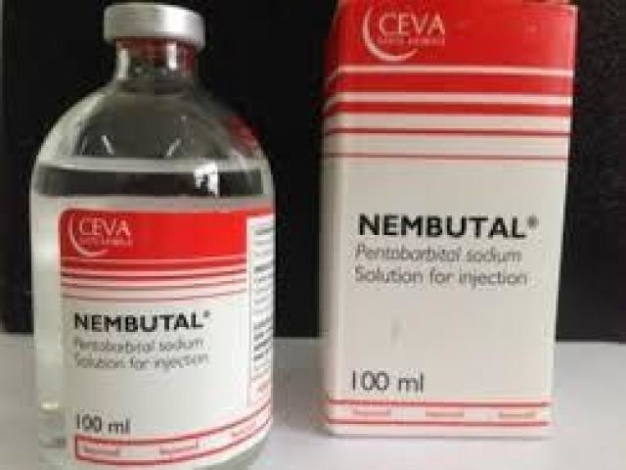 Buy Nembutal Pentobarbital Sodium Online Www