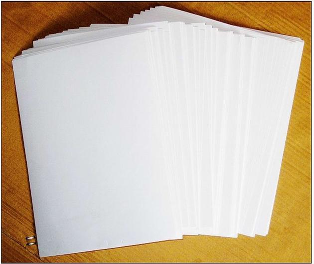 White printing paper. White A4 label