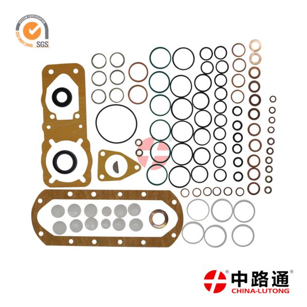 diesel injection pump rebuild kit 2 417 010 002 Injection Kits