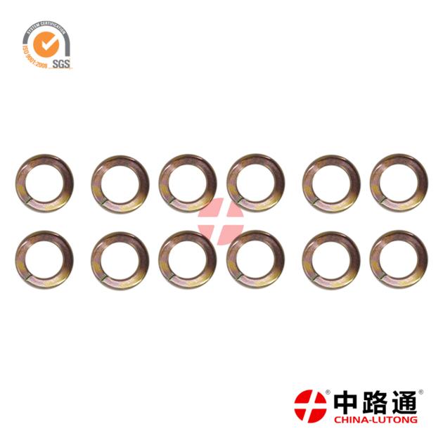 Diesel Injection Pump Rebuild Kit 2
