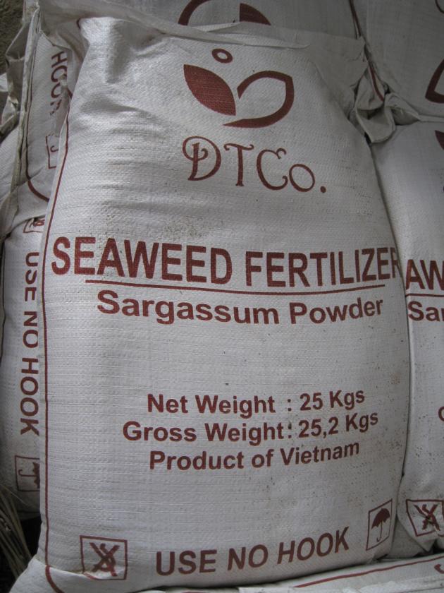 Seaweed Fertilizer _ Sargassum