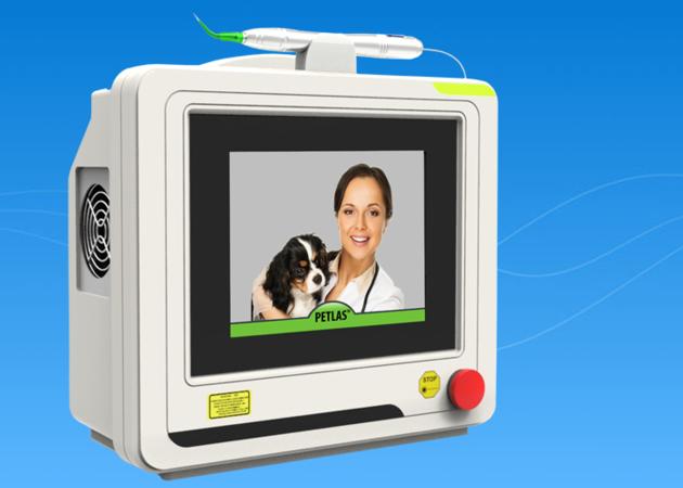 Dog Arthritis Laser Therapy