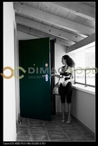 security door
