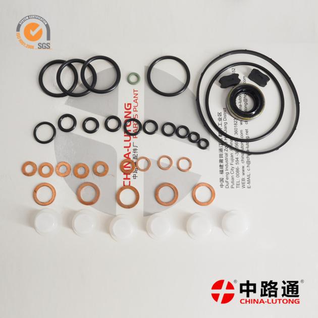Electronic Fuel Injection Kit 800636 Injection Pump Spare Parts Repair Kits