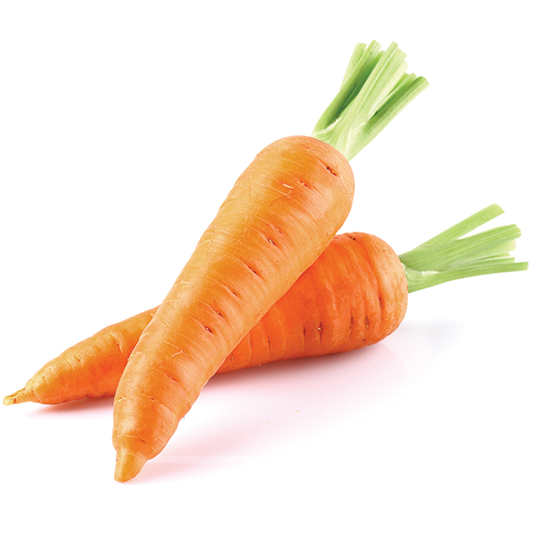 Fresh carrots