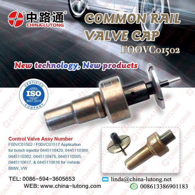 Bosch Control Valve Cap FOOVC01502 Control valve cap