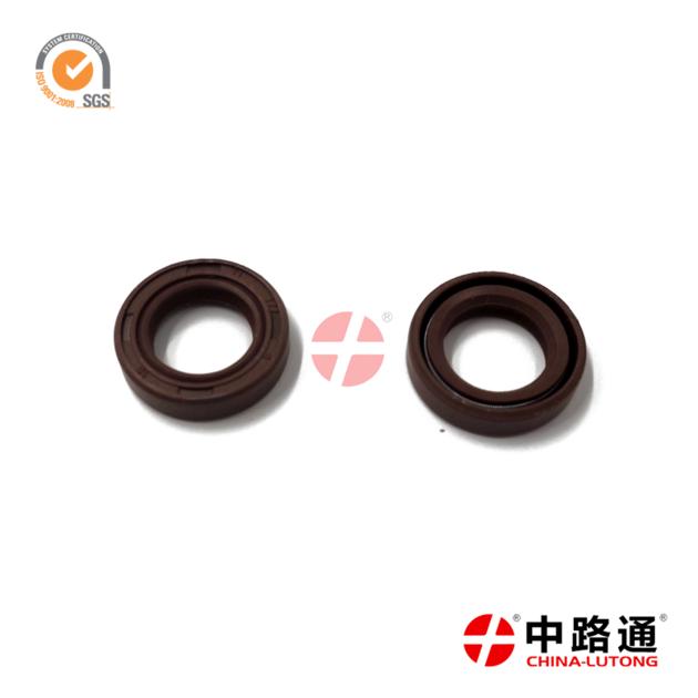 Denso Diesel Injection Pump Repair 1