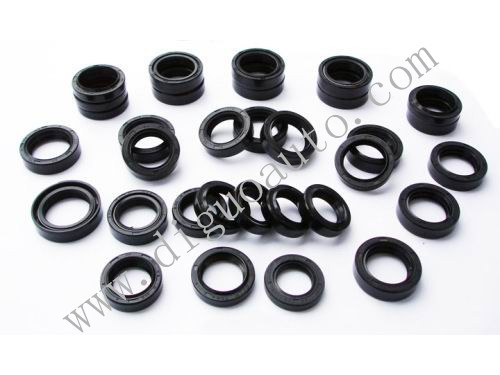 Diguo auto O molding ring