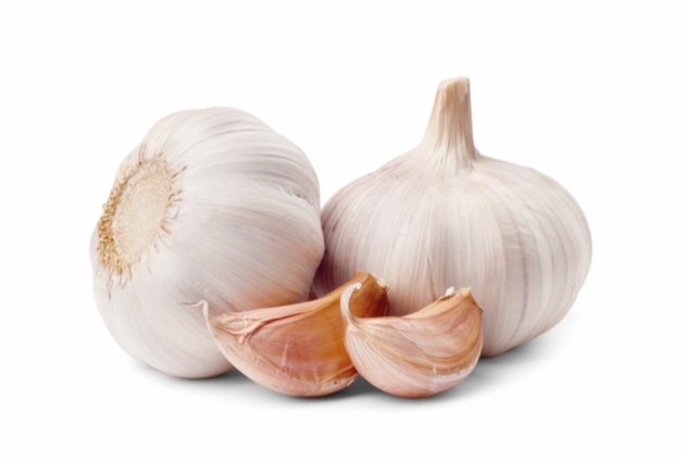 Garlic